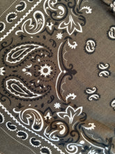 Load image into Gallery viewer, BANDANA VERDE
