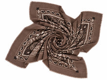 Load image into Gallery viewer, BANDANA TOPO
